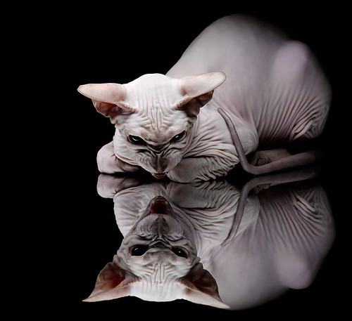 中乙联赛发展是否存在瓶颈亟需突破,中乙联赛发展是否存在瓶颈亟需突破的问题