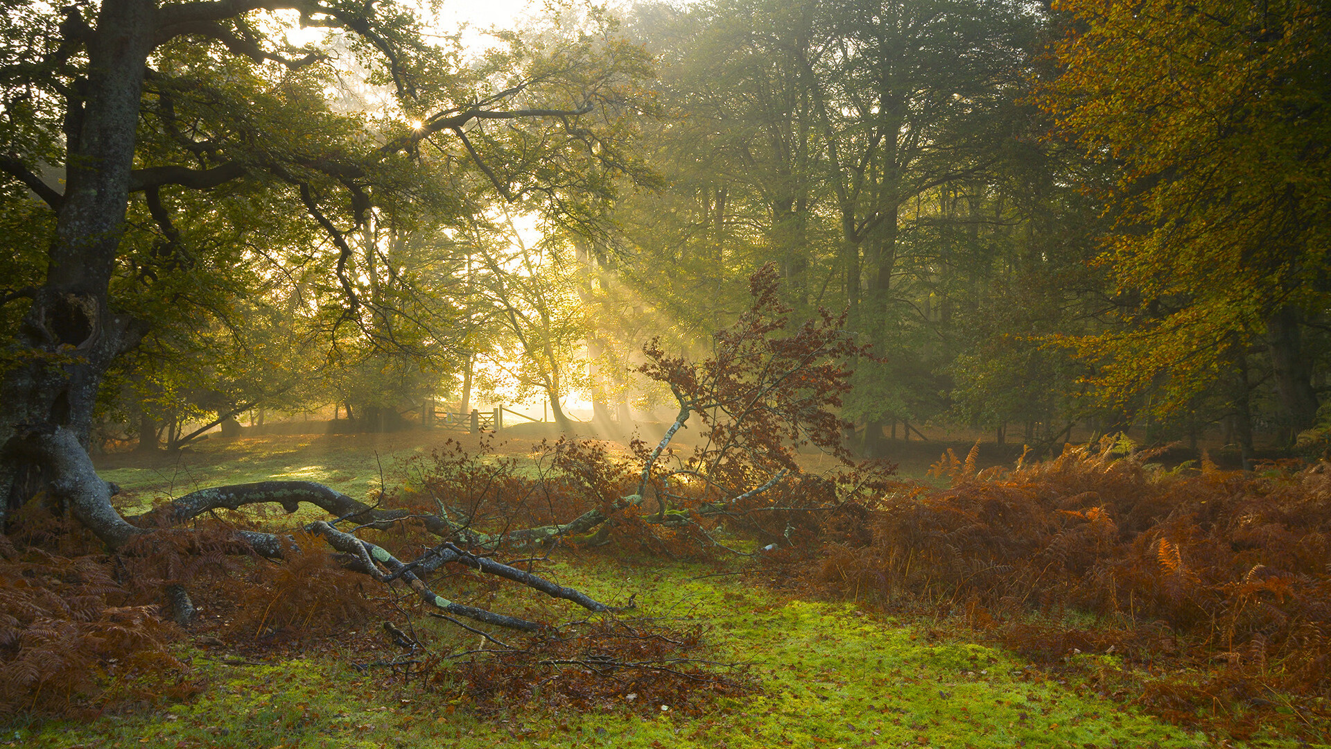 地方足协是否具备联赛独立运营能力