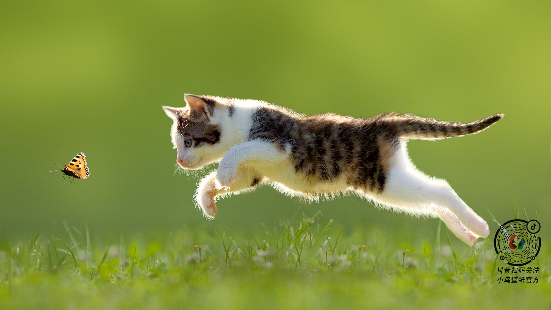 地方足协是否具备联赛独立运营能力