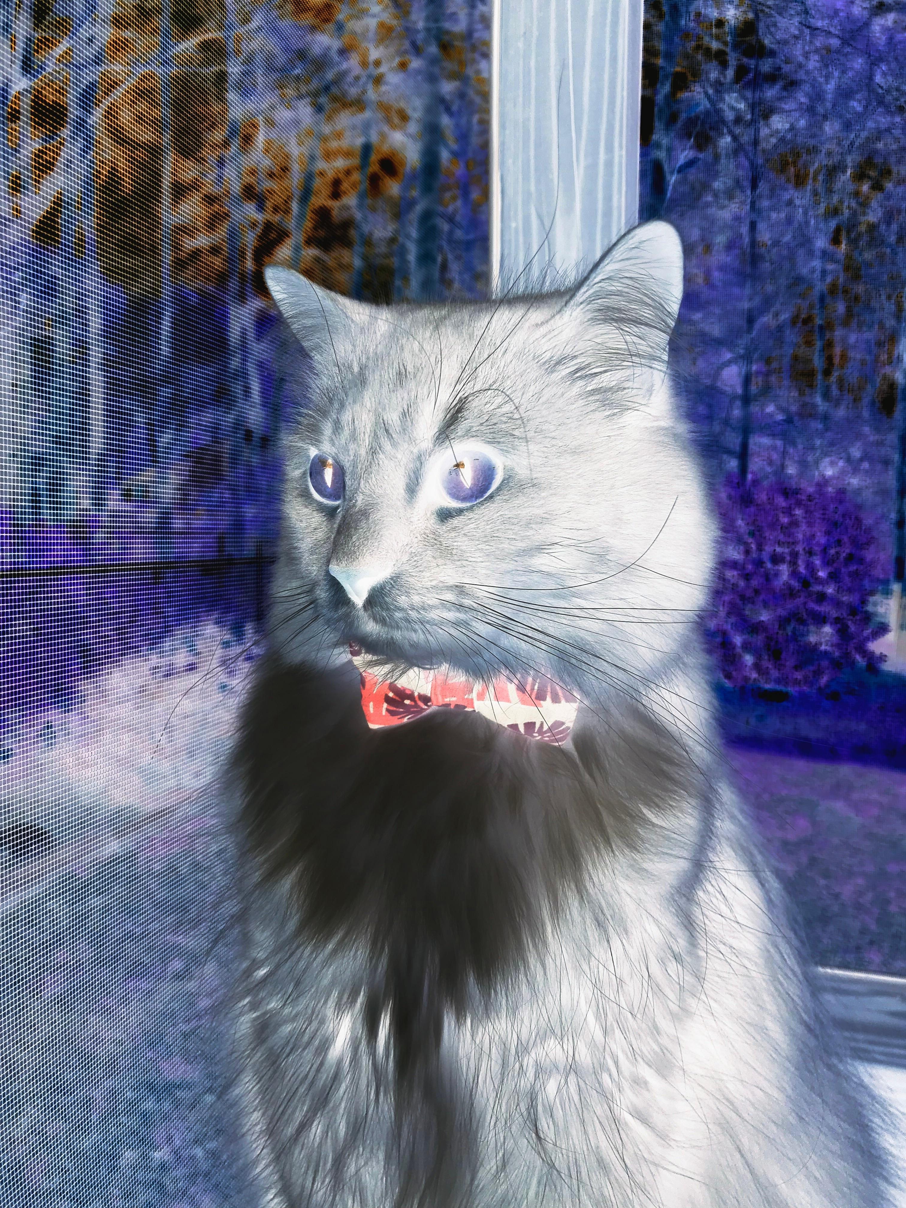 山东泰山球队体能状况良好,山东泰山球队转会新闻