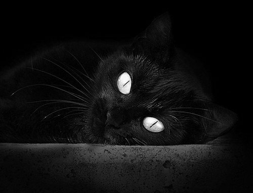 开云在线直播-王牌队球员健康状况良好，王牌篮球队