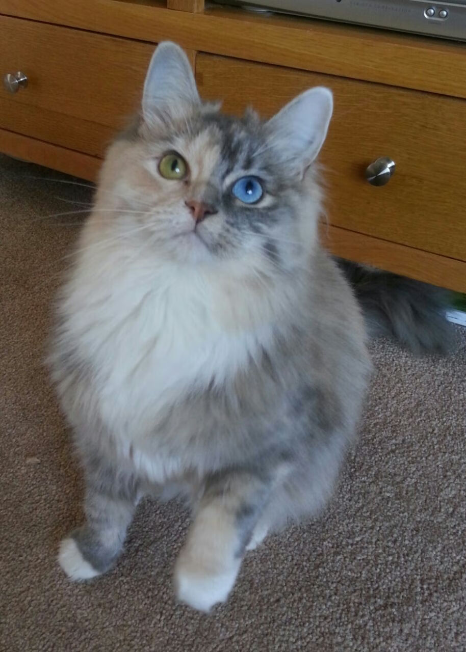 全国青少年垒球锦标赛激烈开战，全国中小学生棒垒球锦标赛