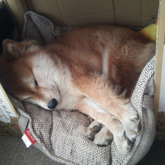 法甲球队基于大数据分析优化边路进攻效率，法甲球队地理位置