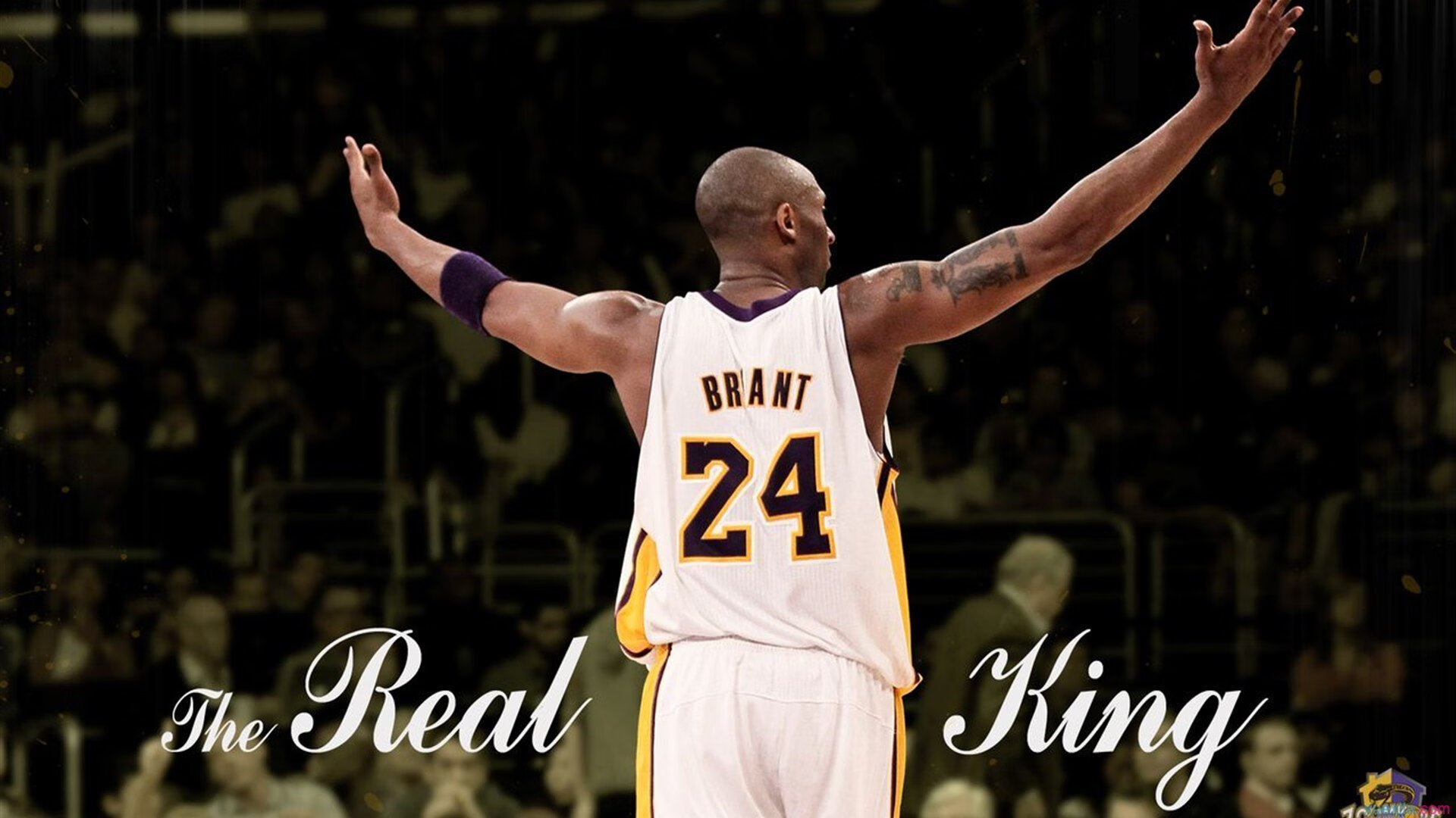 校园体育场馆智能管理与节能技术,体育场馆智慧化建设