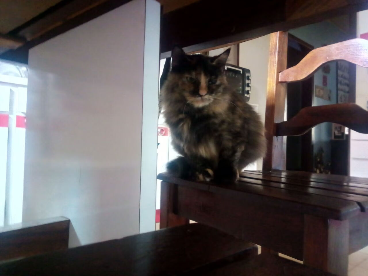 校园体育场馆智能管理与节能技术,体育场馆智慧化建设