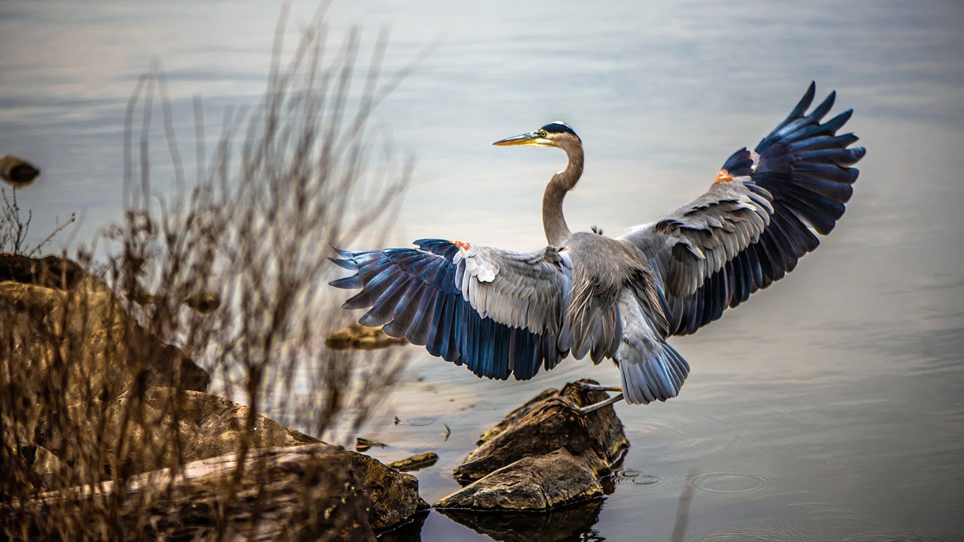 开云体育官网-“技术革新首登阵：AI越位与裁判耳机摄像头试用”