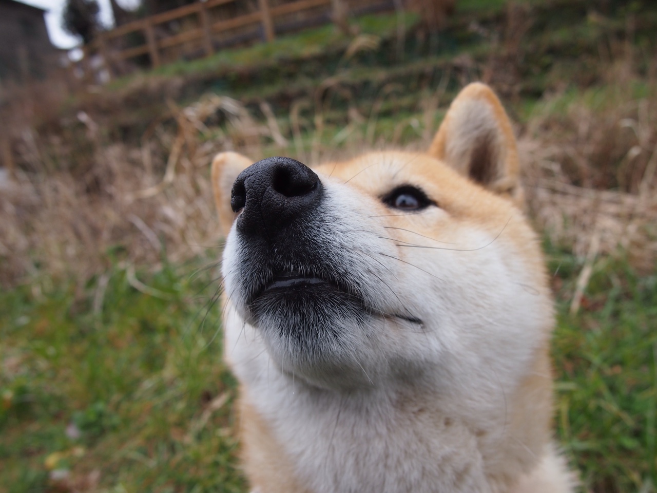 开云体育平台-亚冠联赛中国女足逆袭 球迷热情高涨，中国女足亚洲杯七连冠